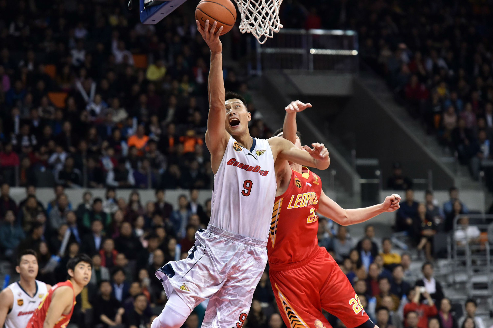 引起球迷关 引起球迷关