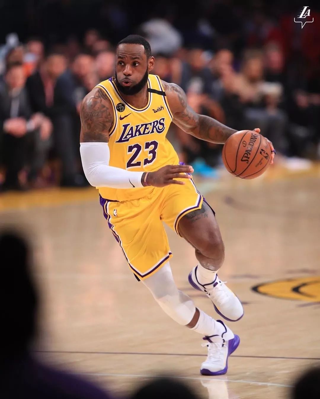 阿诺德既是 阿诺德既是